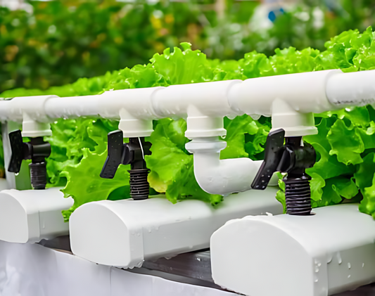 Drip Irrigation Vs. NFT: Comparing   Efficient Hydroponic Methods