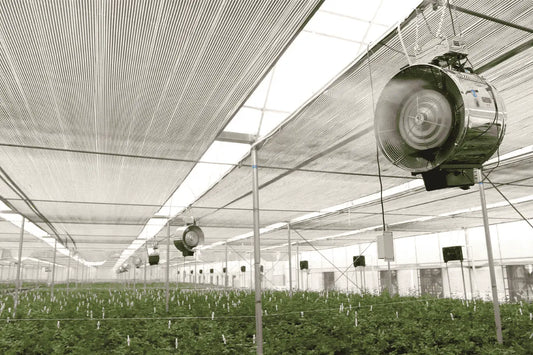 Hydroponic fans circulating air in a greenhouse with rows of plants under a shaded structure, aiding cultivation.