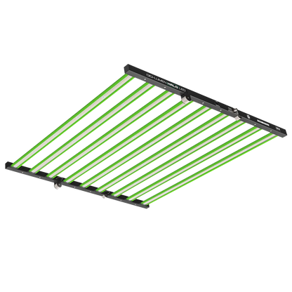 Digi-Lumen 1000 W Halo LED -9 Bar Trifold