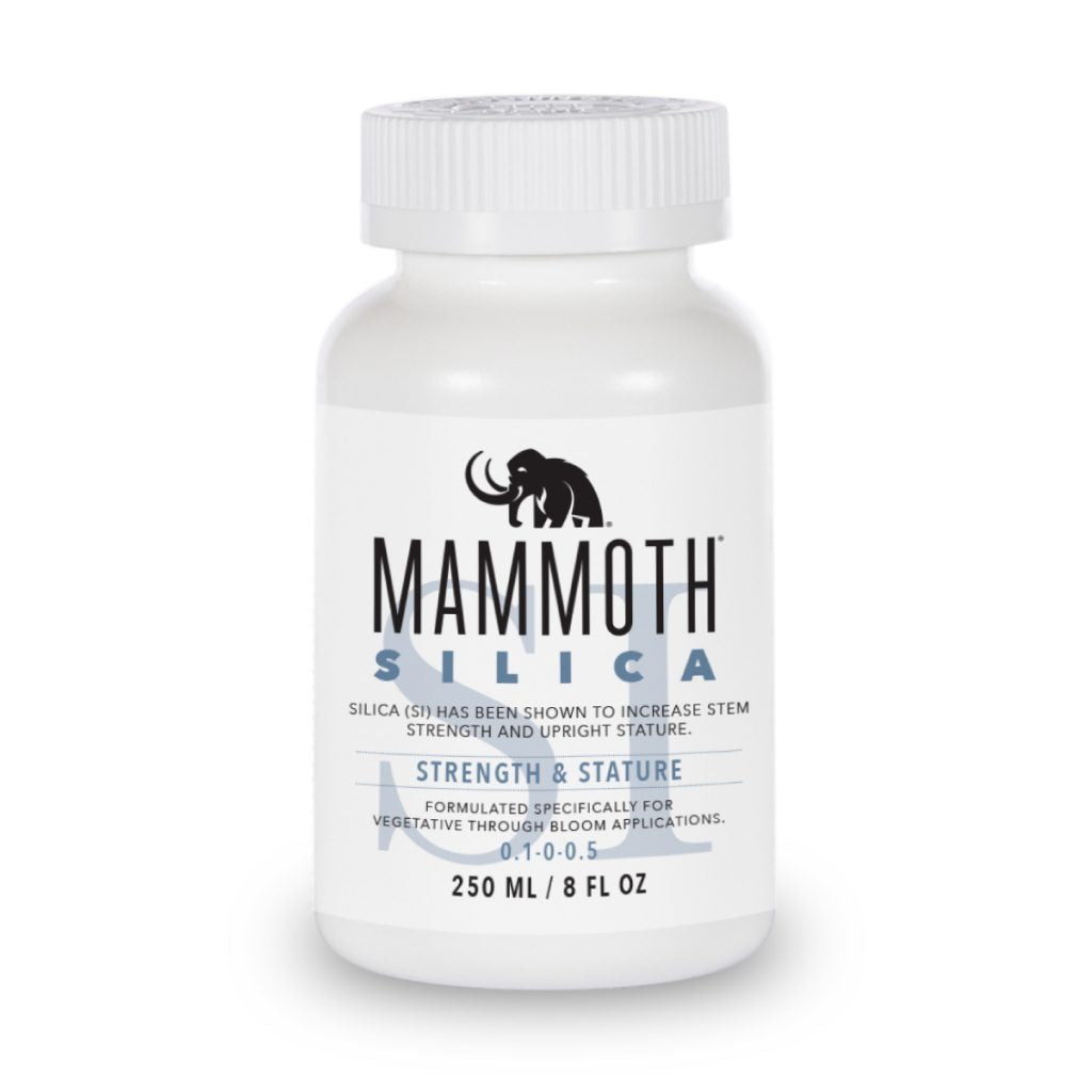 Mammoth Silica -250ML/500ML/1L//3.78L/9.45L/ NPK:0.1-0-0.5