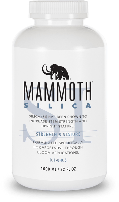 Mammoth Silica -250ML/500ML/1L//3.78L/9.45L/ NPK:0.1-0-0.5