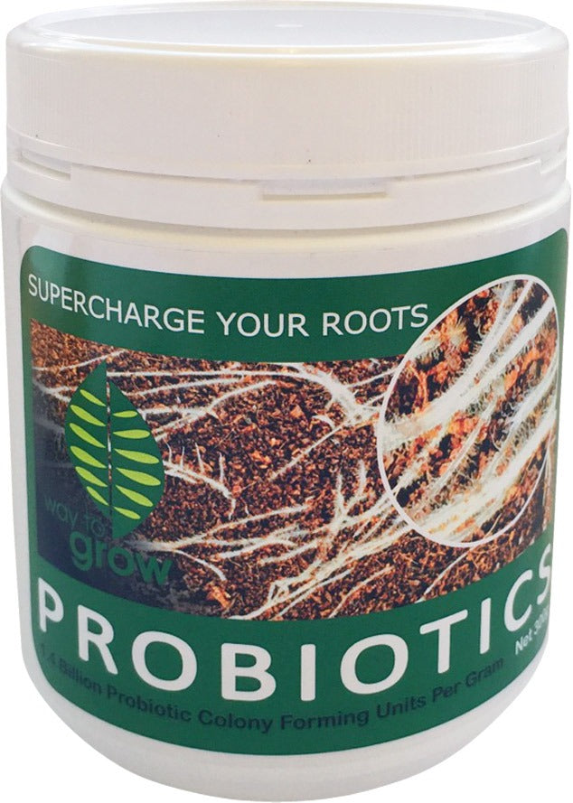 W2G PROFESSIONAL COCO PROBIOTICS - 300GM